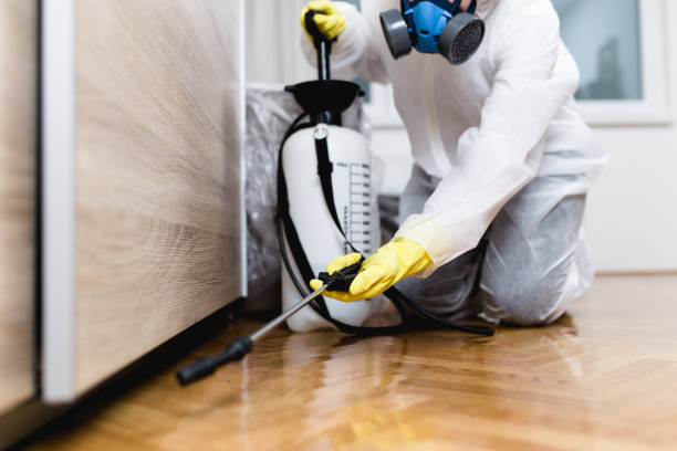 Best Pest Inspection Near Me  in Sandy, OR