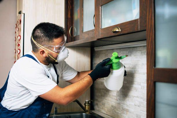 Best Pest Prevention Services  in Sandy, OR