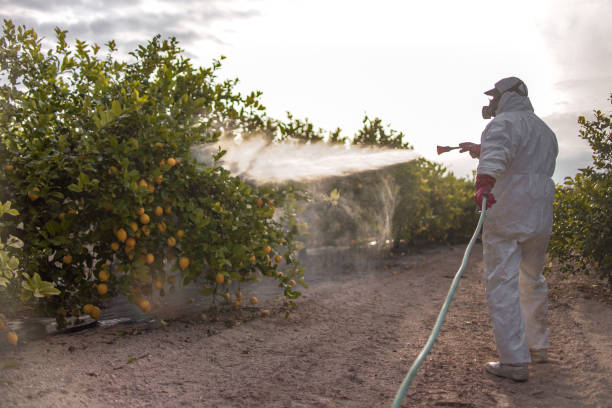 Best Bed Bug Extermination  in Sandy, OR