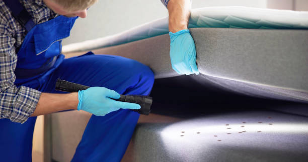 Best Flea Control Services  in Sandy, OR