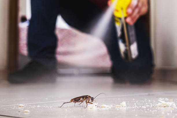 Best Termite Control Services  in Sandy, OR