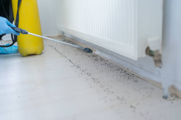 Best Best Pest Control Companies  in Sandy, OR